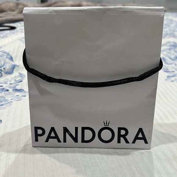 Pandora gift bag - Picture 1 of 3